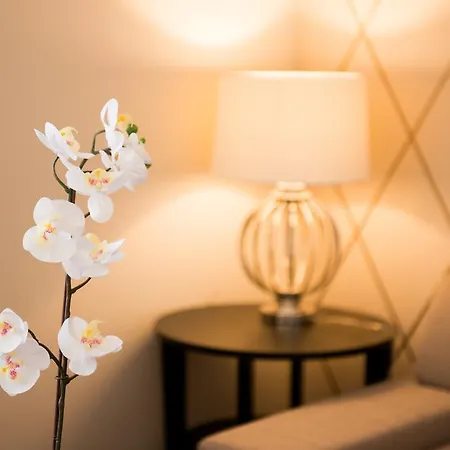 Appartement Executive